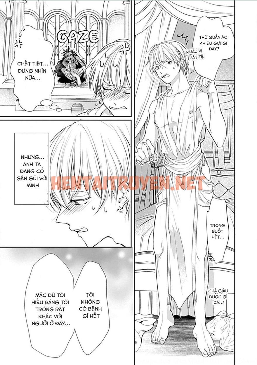 Xem ảnh Itoshi No Kemukujaraa - Chap 1 - img_026_1675938698 - TruyenVN.APP