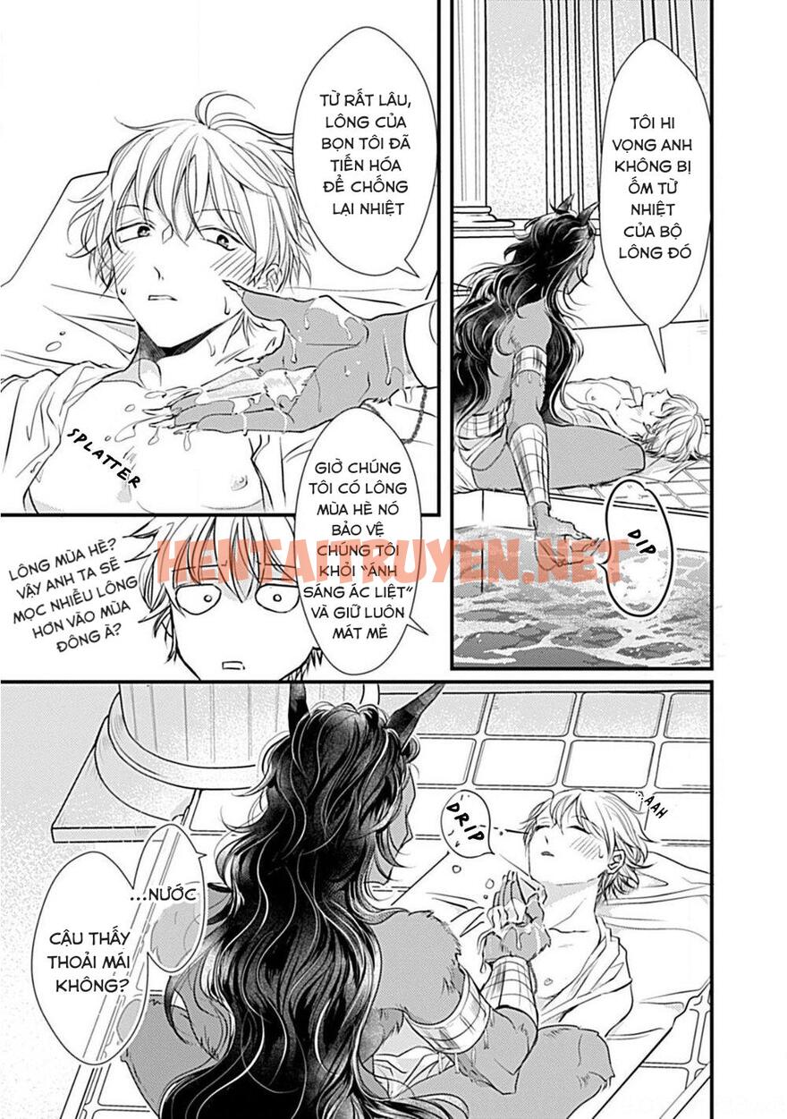 Xem ảnh Itoshi No Kemukujaraa - Chap 2 - img_028_1675938622 - TruyenVN.APP