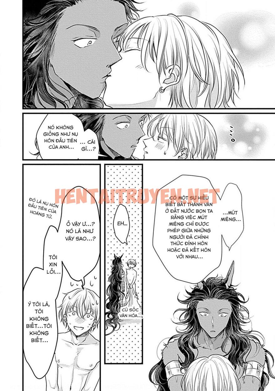 Xem ảnh Itoshi No Kemukujaraa - Chap 5 - img_023_1675938347 - TruyenVN.APP