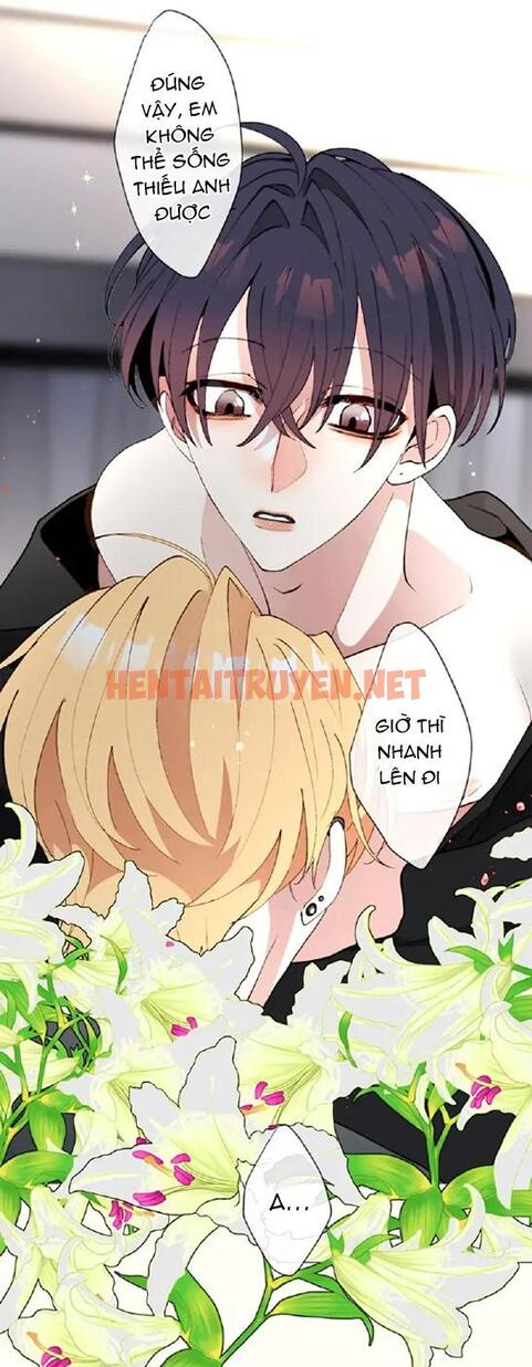 Xem ảnh Kẻ Theo Dõi Biến Thái Của Tôi - Chap 69 - img_012_1689870140 - HentaiTruyenVN.net