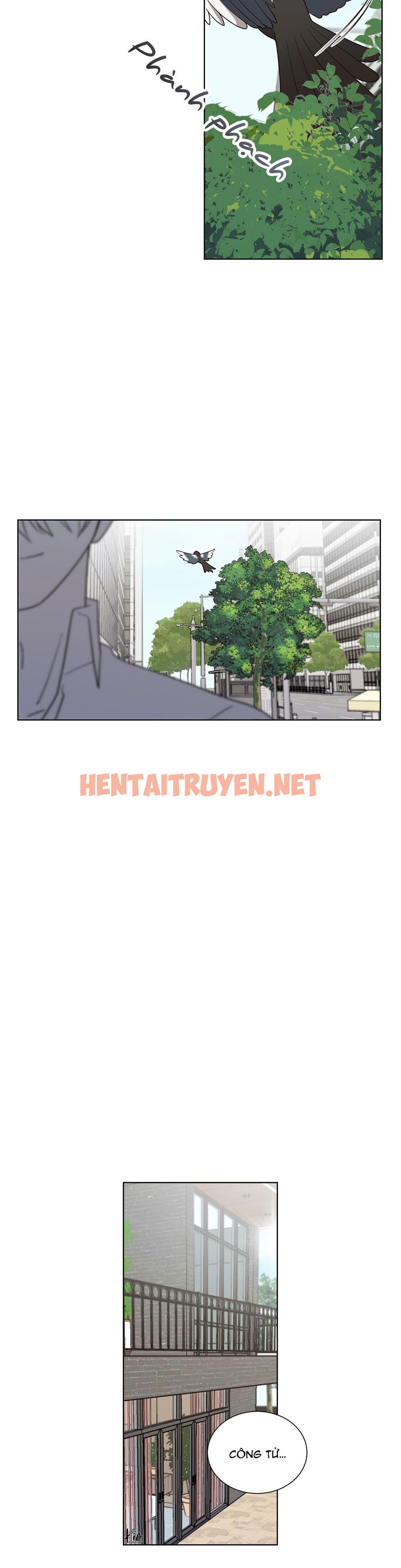 Xem ảnh Khi Chim Thước Đến - Chap 9 - img_021_1687620867 - HentaiTruyenVN.net