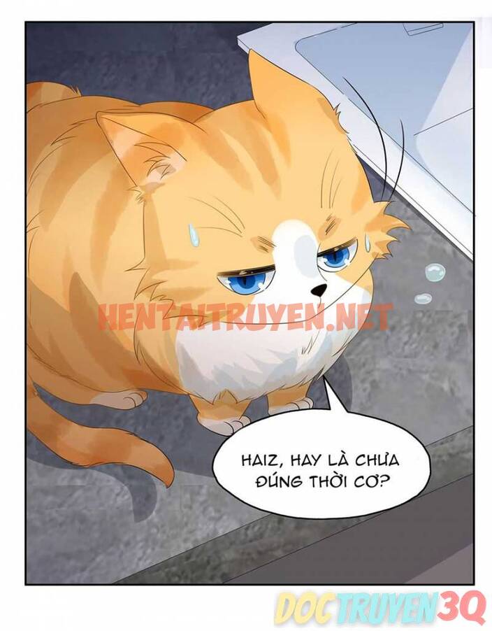 Xem ảnh Lồng Giam Vô Tận - Chap 7 - img_018_1681954023 - HentaiTruyen.net