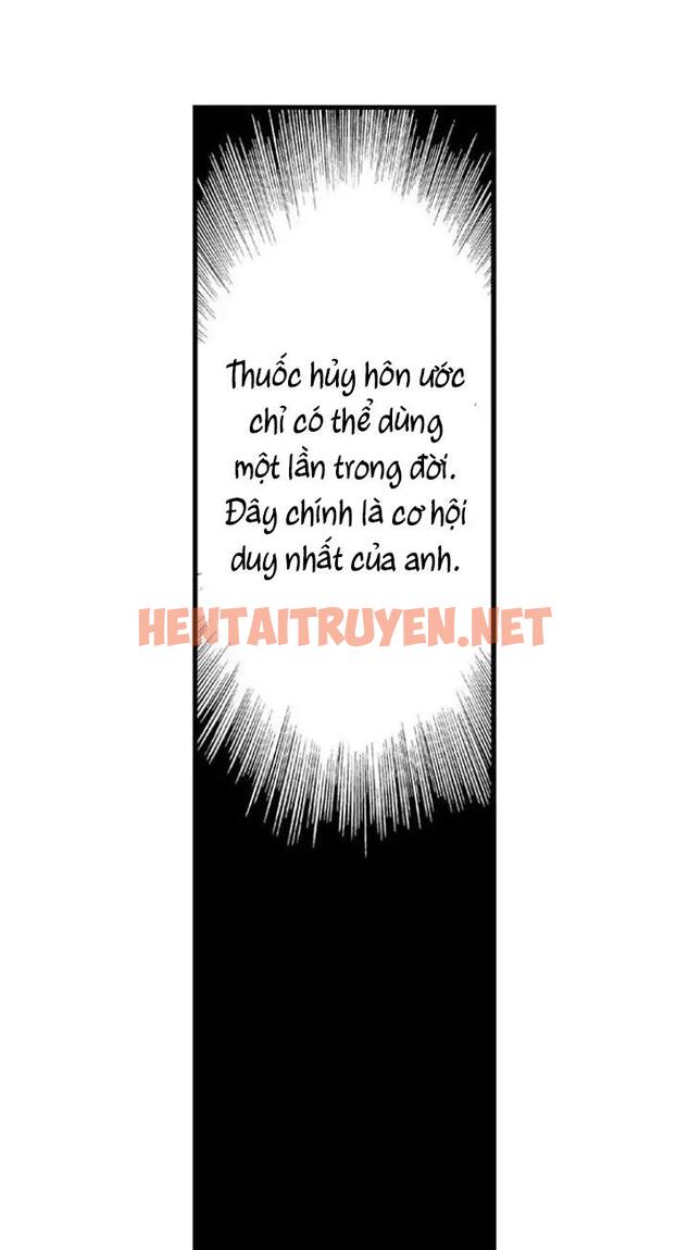 Xem ảnh Ly Hôn Đi, Hỡi Ngài Alpha - Chap 13 - img_004_1676389285 - HentaiTruyen.net