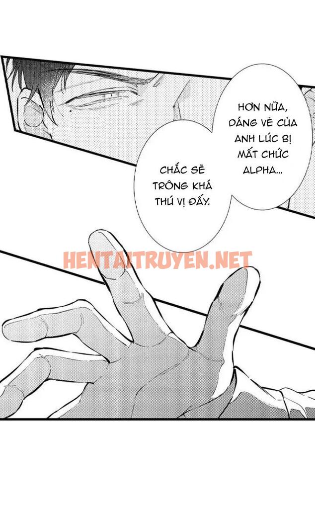 Xem ảnh Ly Hôn Đi, Hỡi Ngài Alpha - Chap 7 - img_008_1674502446 - HentaiTruyenVN.net