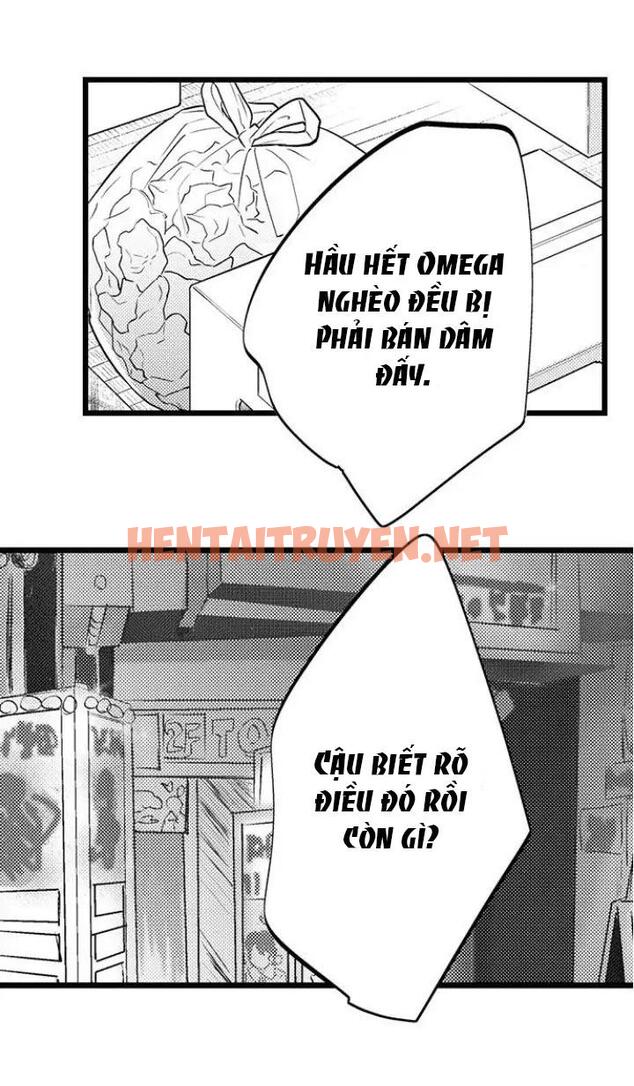 Xem ảnh Ly Hôn Đi, Hỡi Ngài Alpha - Chap 9 - img_010_1674761661 - HentaiTruyenVN.net