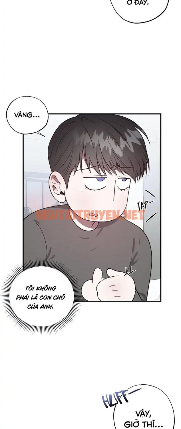 Xem ảnh Manhwa Chịch Vồn Chịch Vã - Chap 38 - img_035_1681227432 - HentaiTruyen.net