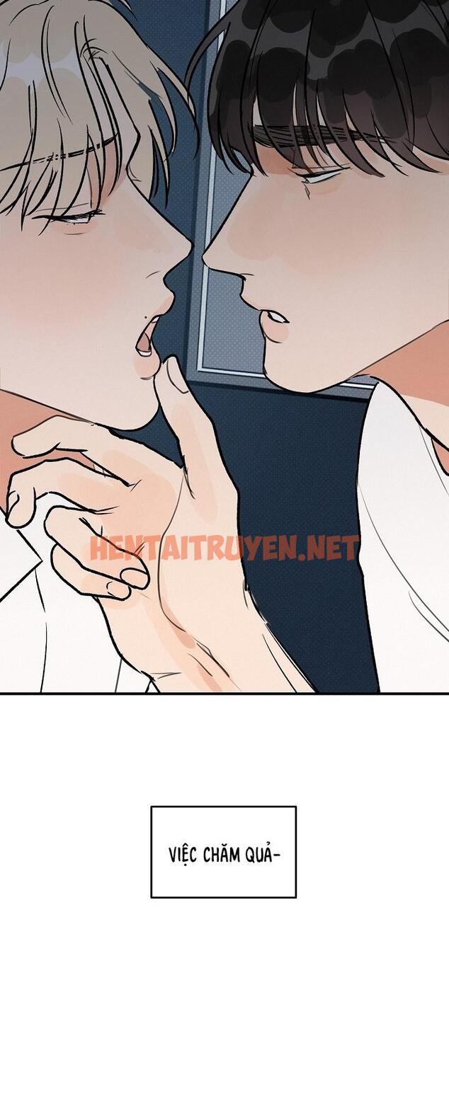 Xem ảnh Manhwa Chịch Vồn Chịch Vã - Chap 70 - img_006_1688837876 - TruyenVN.APP