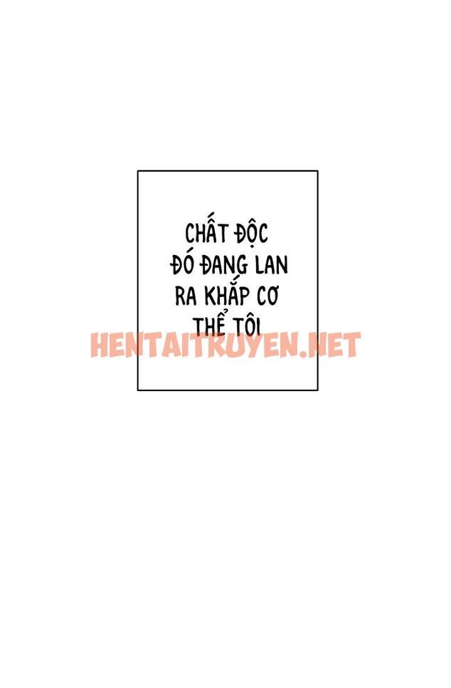 Xem ảnh Manhwa Chịch Vồn Chịch Vã - Chap 84 - img_056_1696530793 - TruyenVN.APP