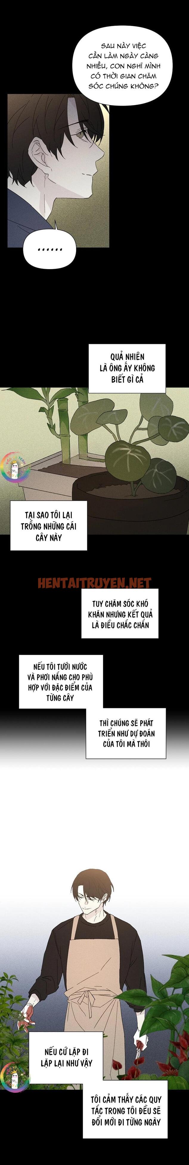 Xem ảnh Manhwa Chịch Vồn Chịch Vã - Chap 90 - img_004_1701279381 - TruyenVN.APP