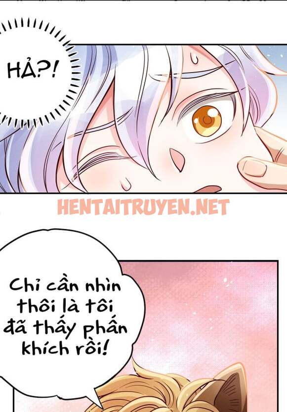 Xem ảnh Mê Muội Mất Cả Ý Chí - Chap 9 - img_030_1645933350 - HentaiTruyen.net