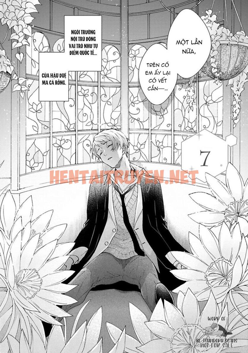 Xem ảnh Mèo Đen Kí Túc, Mịt Mù Đêm Đen - Chap 7 - img_007_1671802584 - HentaiTruyenVN.net