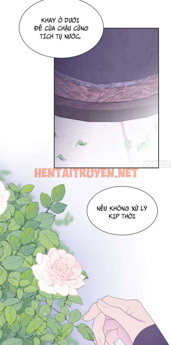 Xem ảnh Mời Nhập Mật Mã Kích Hoạt - Chap 4 - img_017_1680575465 - HentaiTruyenVN.net