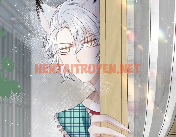 Xem ảnh Một Ngụm Nuốt Trọn Thỏ Con - Chap 83 - img_078_1660278166 - HentaiTruyen.net