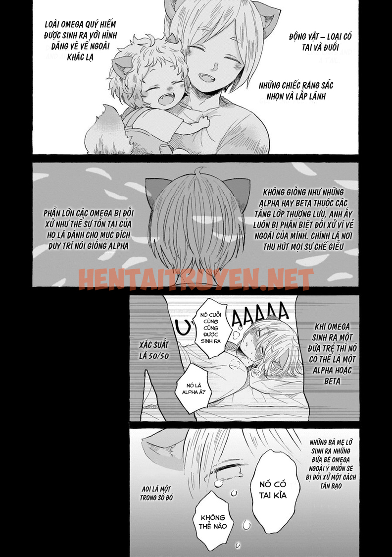 Xem ảnh Neko Mimi Omegaverse - Chap 1.1 - img_004_1629612786 - TruyenVN.APP