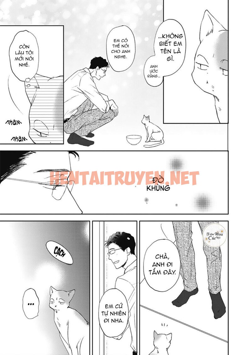 Xem ảnh Neko To Spica - Chap 9 - img_018_1678467049 - TruyenVN.APP