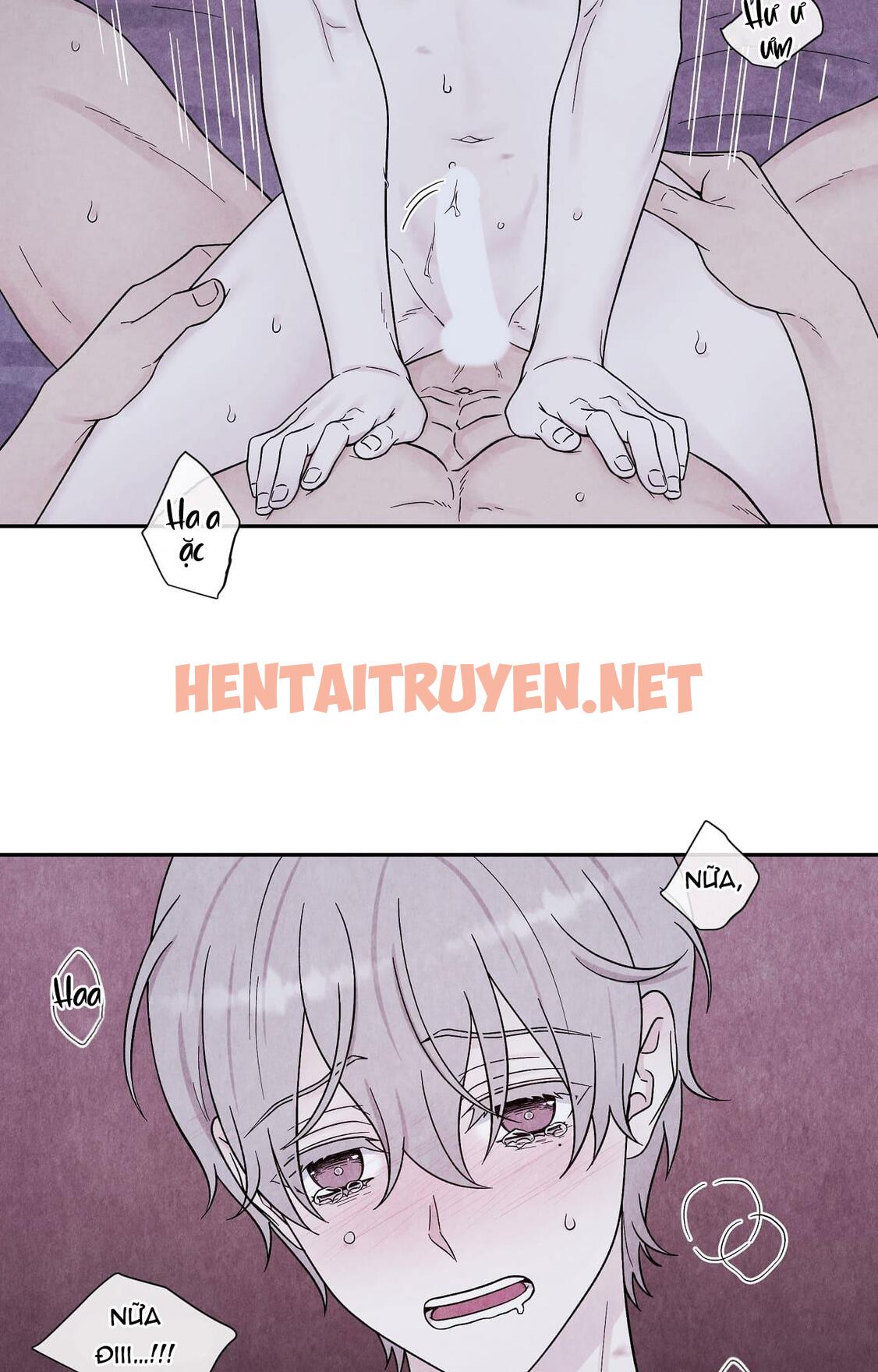 Xem ảnh Nếu Không Là Định Mệnh Thì Là Gì? - Chap 8 - img_019_1664300558 - HentaiTruyenVN.net