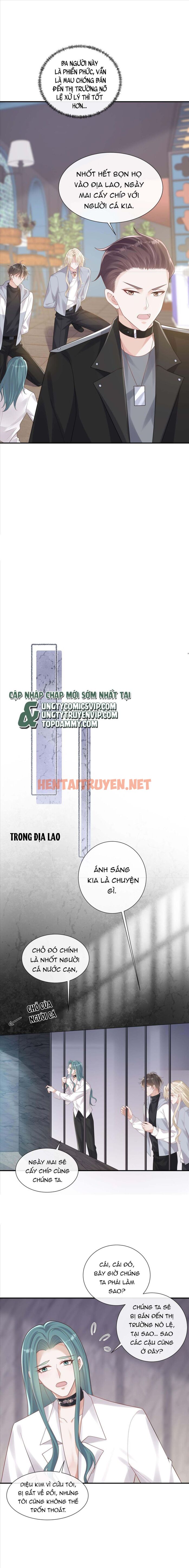 Xem ảnh Người Dẫn Đường Có Phải Trùng Sinh Rồi Không - Chap 54 - img_004_1674011063 - HentaiTruyen.net