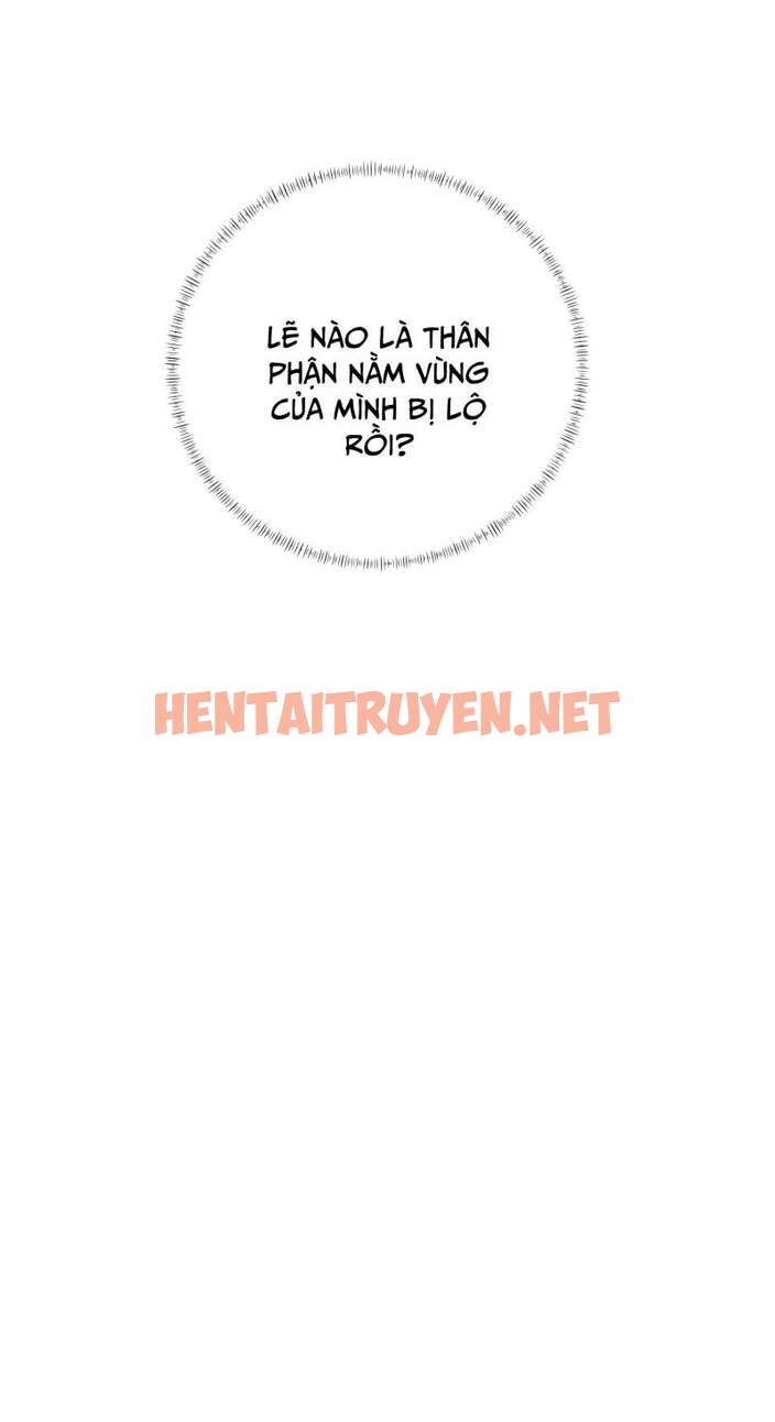 Xem ảnh Người Dẫn Đường Có Phải Trùng Sinh Rồi Không - Chap 58 - img_035_1677058821 - HentaiTruyenVN.net