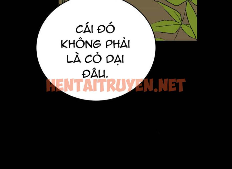 Xem ảnh Người Hầu - Chap 4 - img_062_1667933950 - HentaiTruyen.net