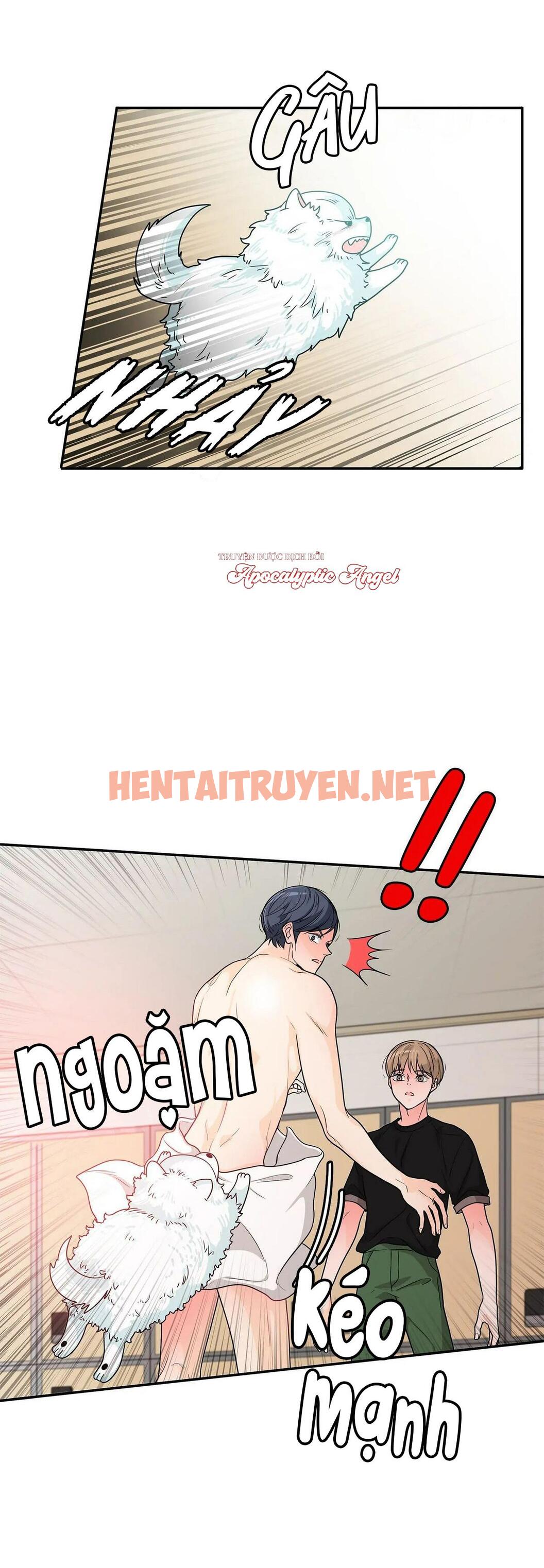 Xem ảnh Người Tạo Ra Những Chàng Gay Hoàn Hảo - Chap 49 - img_033_1679153823 - TruyenVN.APP