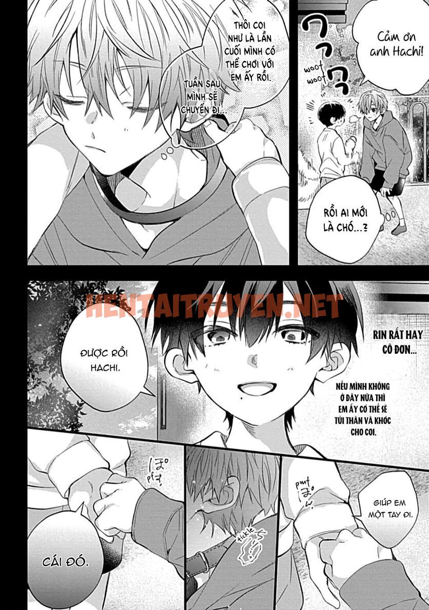 Xem ảnh Những Chàng Trai Gợi Cảm (Oneshot - Chap 106 - img_005_1700213868 - HentaiTruyen.net