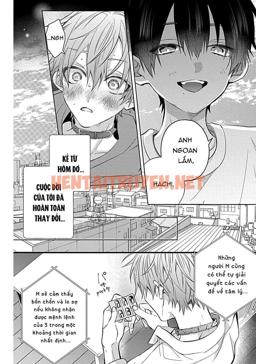 Xem ảnh Những Chàng Trai Gợi Cảm (Oneshot - Chap 106 - img_007_1700213868 - HentaiTruyen.net