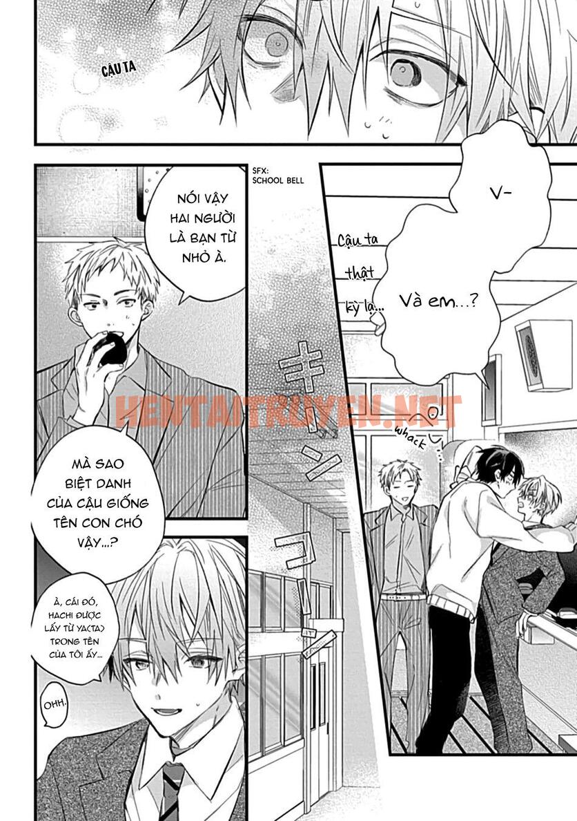 Xem ảnh Những Chàng Trai Gợi Cảm (Oneshot - Chap 106 - img_013_1700213871 - HentaiTruyen.net