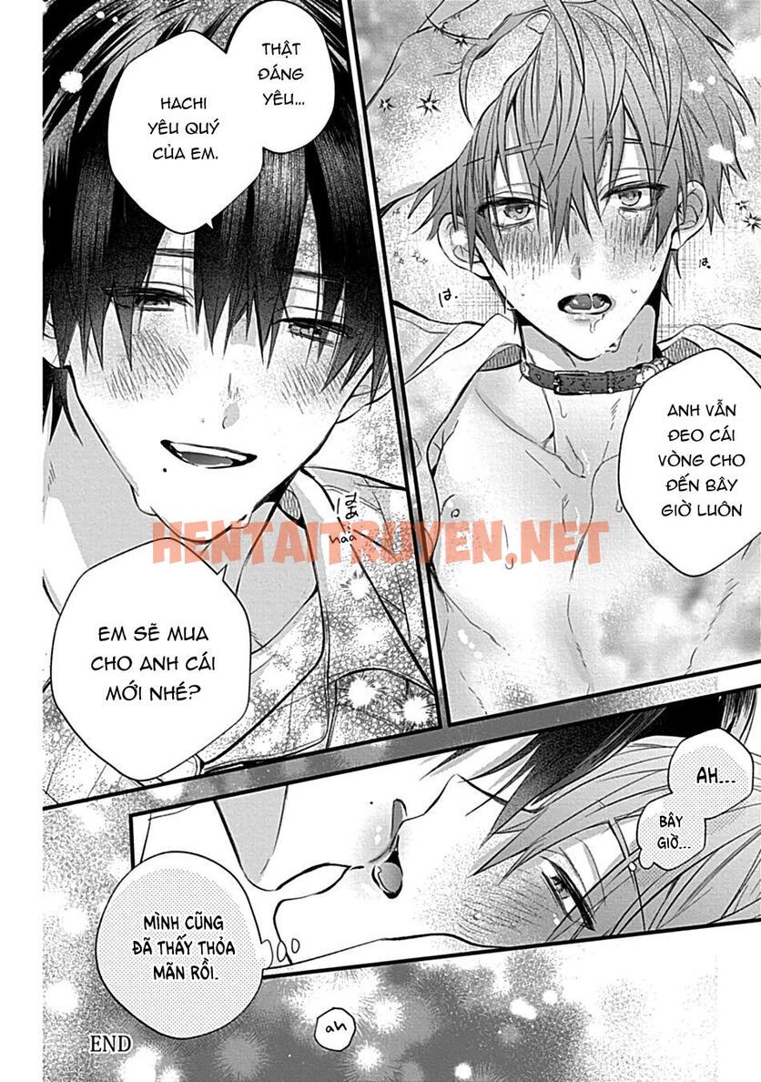 Xem ảnh Những Chàng Trai Gợi Cảm (Oneshot - Chap 106 - img_035_1700213886 - HentaiTruyenVN.net