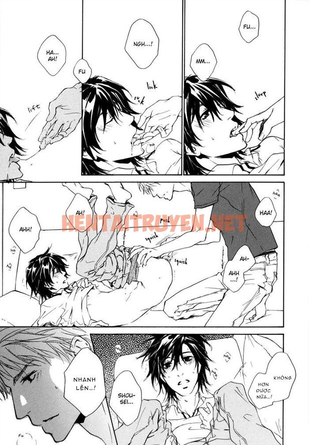 Xem ảnh Những Chàng Trai Gợi Cảm (Oneshot - Chap 68 - img_027_1682534206 - HentaiTruyen.net