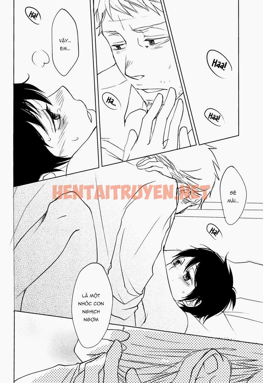 Xem ảnh Những Chàng Trai Gợi Cảm (Oneshot - Chap 83 - img_040_1686428149 - HentaiTruyenVN.net