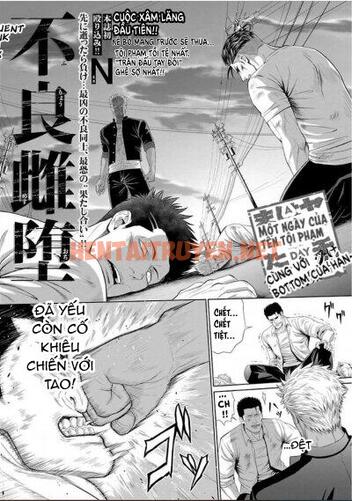 Xem ảnh Những Chàng Trai Gợi Cảm (Oneshot - Chap 87 - img_004_1688643773 - HentaiTruyenVN.net