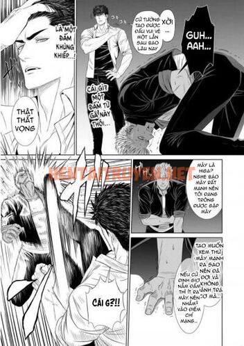 Xem ảnh Những Chàng Trai Gợi Cảm (Oneshot - Chap 87 - img_013_1688643774 - HentaiTruyen.net