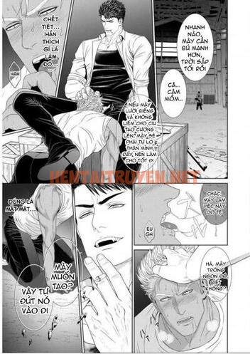 Xem ảnh Những Chàng Trai Gợi Cảm (Oneshot - Chap 87 - img_033_1688643777 - HentaiTruyenVN.net