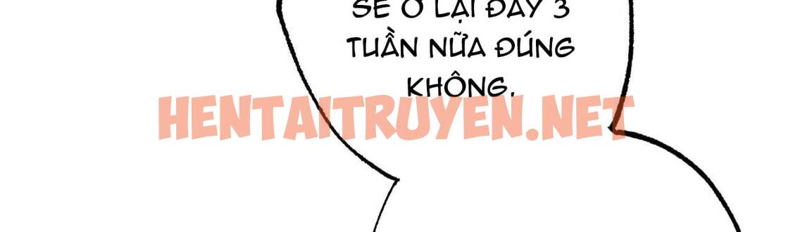 Xem ảnh Những Chú Thỏ Của Hapypy - Chap 10 - img_284_1639322238 - TruyenVN.APP