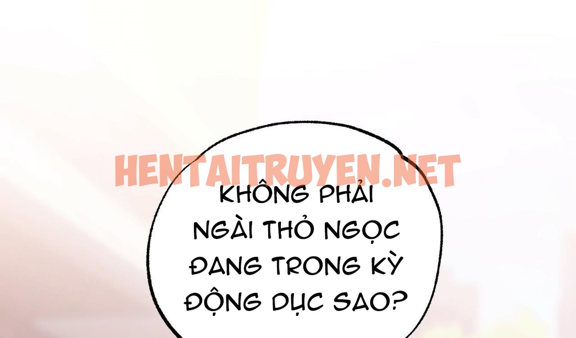 Xem ảnh Những Chú Thỏ Của Hapypy - Chap 10 - img_349_1639322333 - TruyenVN.APP