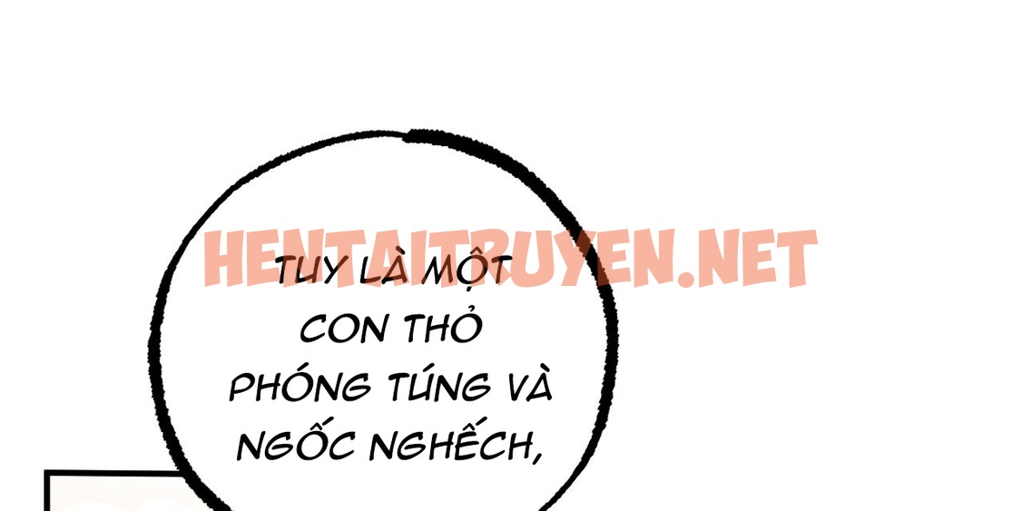 Xem ảnh Những Chú Thỏ Của Hapypy - Chap 11 - img_137_1639859826 - TruyenVN.APP