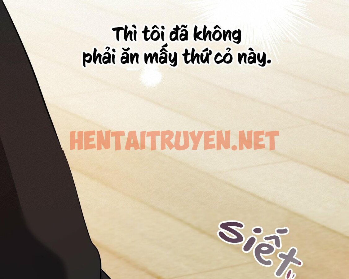 Xem ảnh Những Chú Thỏ Của Hapypy - Chap 13 - img_136_1641073029 - HentaiTruyen.net