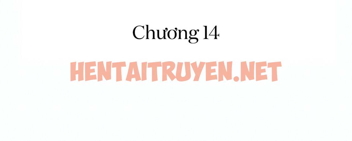 Xem ảnh Những Chú Thỏ Của Hapypy - Chap 14 - img_142_1641665738 - HentaiTruyen.net