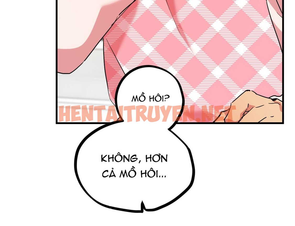 Xem ảnh Những Chú Thỏ Của Hapypy - Chap 15 - img_171_1642340648 - TruyenVN.APP