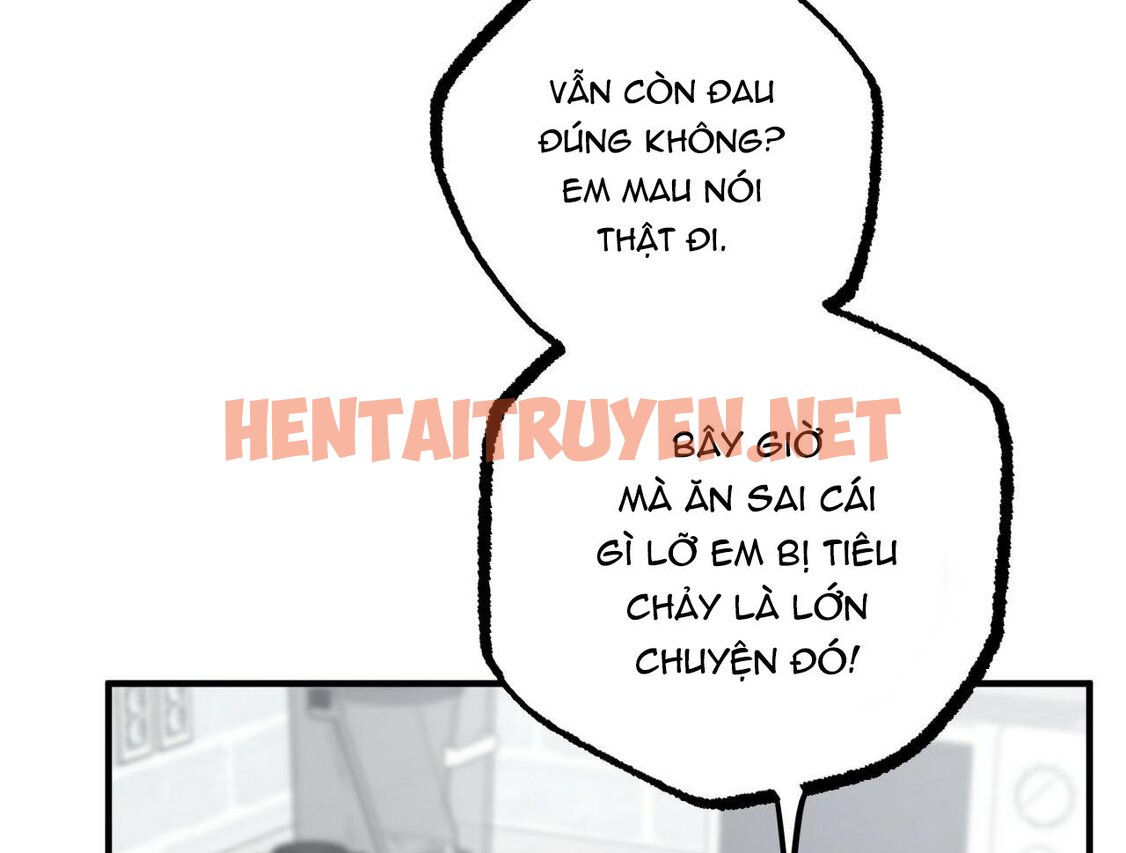 Xem ảnh Những Chú Thỏ Của Hapypy - Chap 15 - img_207_1642340722 - TruyenVN.APP