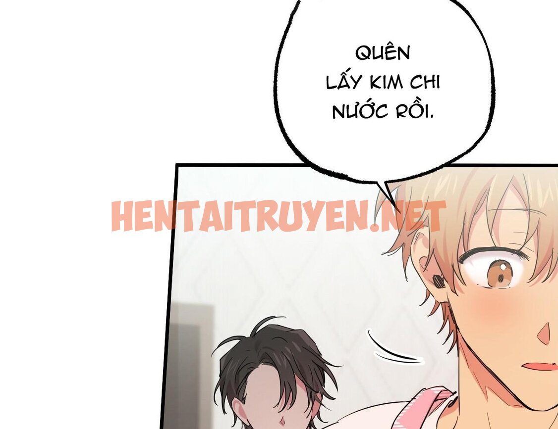 Xem ảnh Những Chú Thỏ Của Hapypy - Chap 15 - img_231_1642340774 - TruyenVN.APP