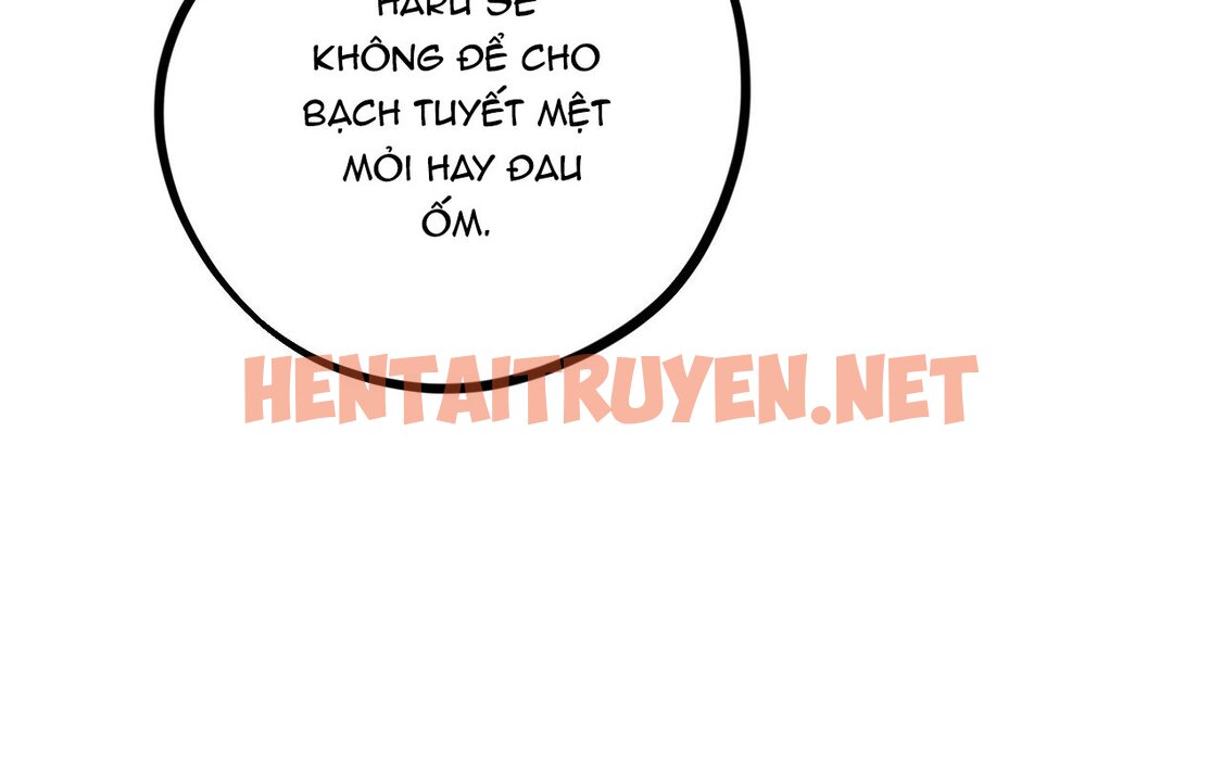 Xem ảnh Những Chú Thỏ Của Hapypy - Chap 16 - img_130_1642876624 - HentaiTruyenVN.net