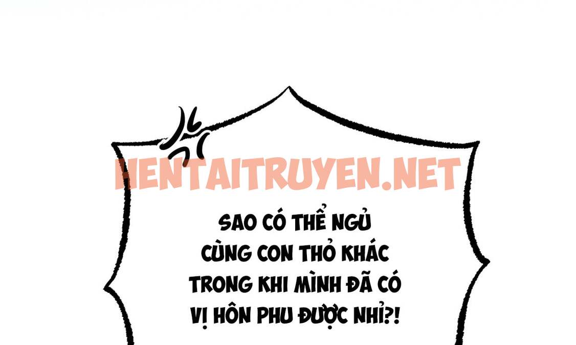 Xem ảnh Những Chú Thỏ Của Hapypy - Chap 18 - img_086_1644282635 - HentaiTruyen.net