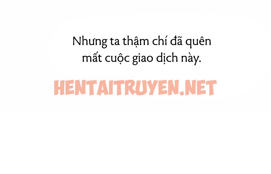 Xem ảnh Những Chú Thỏ Của Hapypy - Chap 19 - img_032_1644690930 - HentaiTruyenVN.net