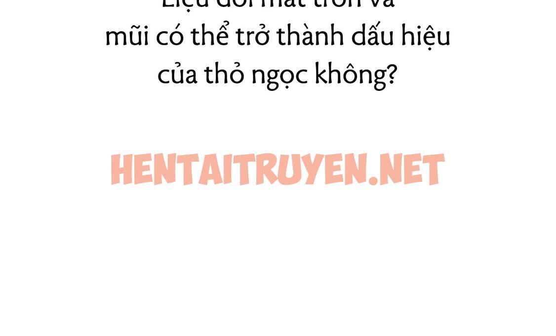 Xem ảnh Những Chú Thỏ Của Hapypy - Chap 19 - img_064_1644690992 - TruyenVN.APP