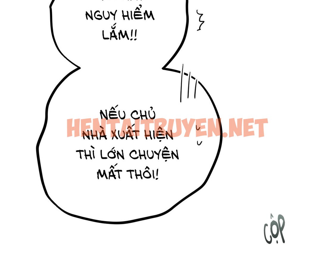 Xem ảnh Những Chú Thỏ Của Hapypy - Chap 19 - img_119_1644691111 - HentaiTruyen.net