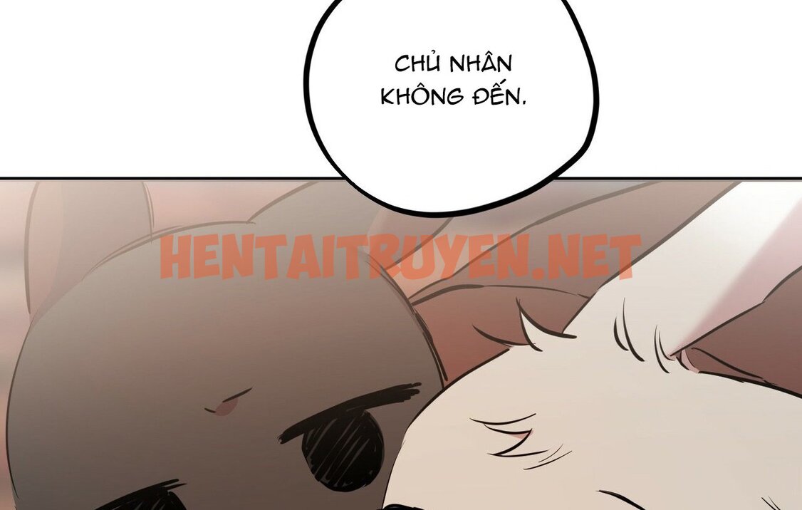 Xem ảnh Những Chú Thỏ Của Hapypy - Chap 19 - img_243_1644691363 - HentaiTruyen.net