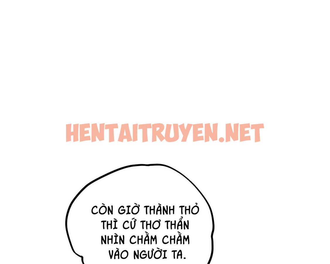 Xem ảnh Những Chú Thỏ Của Hapypy - Chap 2 - img_090_1638257161 - HentaiTruyen.net