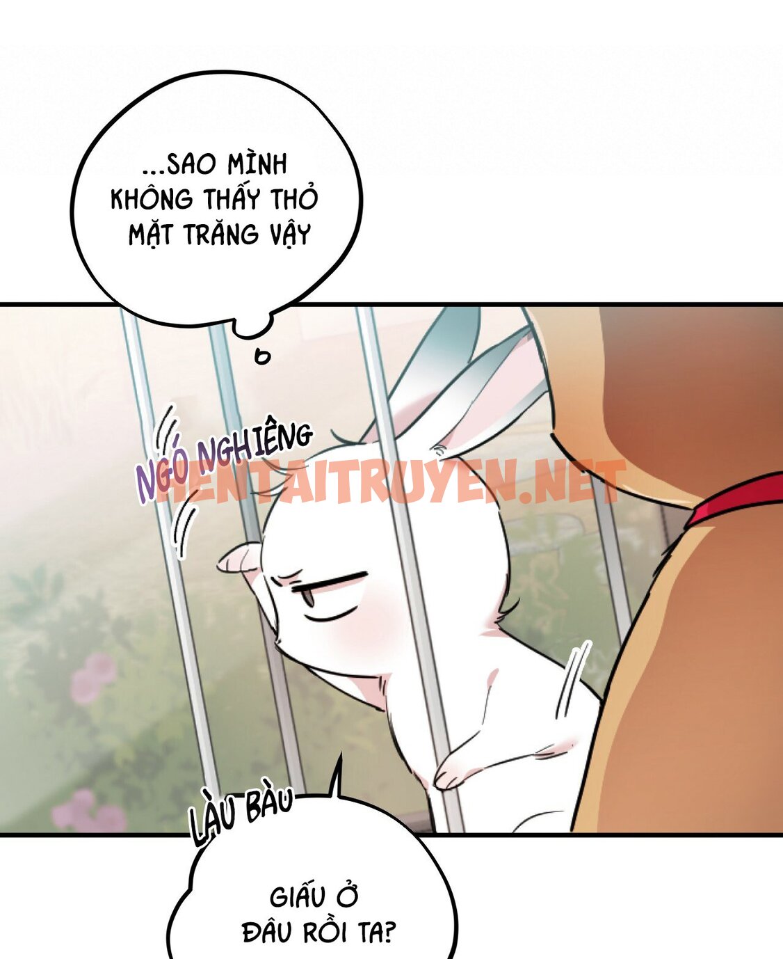 Xem ảnh Những Chú Thỏ Của Hapypy - Chap 2 - img_097_1638257179 - TruyenVN.APP