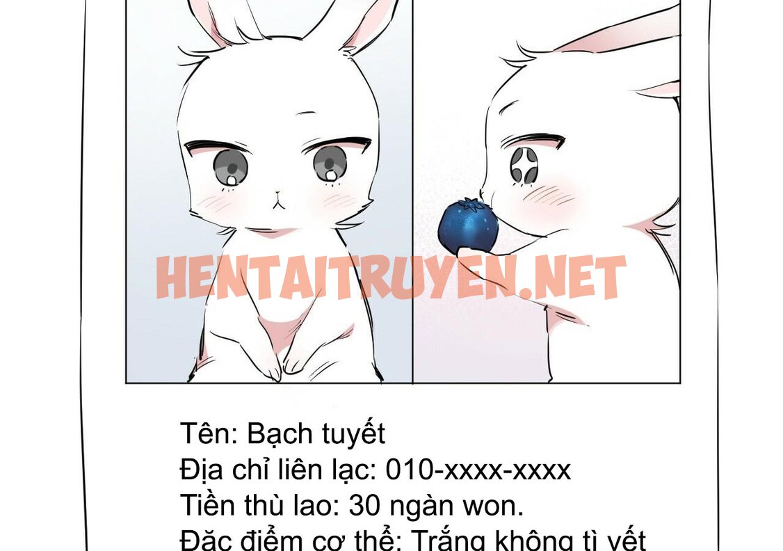 Xem ảnh Những Chú Thỏ Của Hapypy - Chap 20 - img_098_1645338991 - TruyenVN.APP